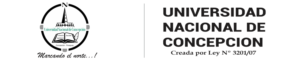 Universidad Nacional de Concepción